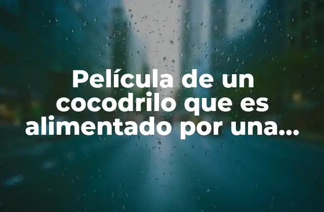 Película de un Cocodrilo que es Alimentado por una Mujer