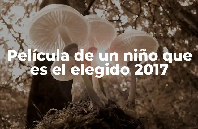Película de un Niño que es el Elegido 2017 2 La historia detrás del niño elegido y su mundo mágico