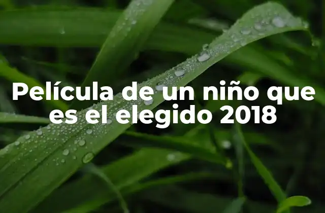 Película de un Niño que es el Elegido 2018