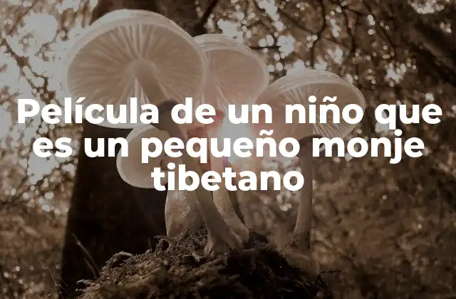 Película de un Niño que es un Pequeño Monje Tibetano