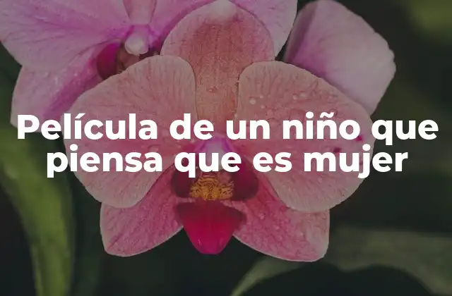 Película de un Niño que Piensa que es Mujer