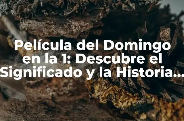 Película Del Domingo en la 1: Descubre el Significado y la Historia Detrás de Esta Tradición