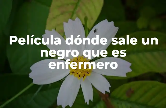 Película Dónde Sale un Negro que es Enfermero