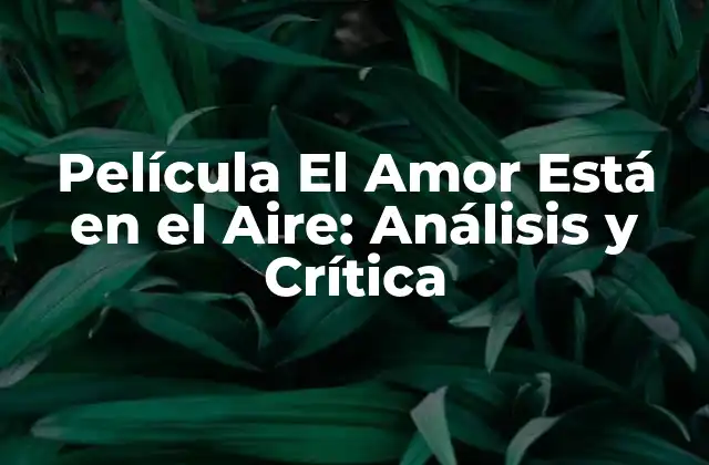 Película el Amor Está en el Aire: Análisis y Crítica