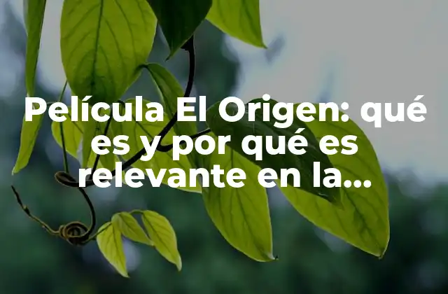 Película el Origen: Qué es y por Qué es Relevante en la Exploración Del Ser Humano