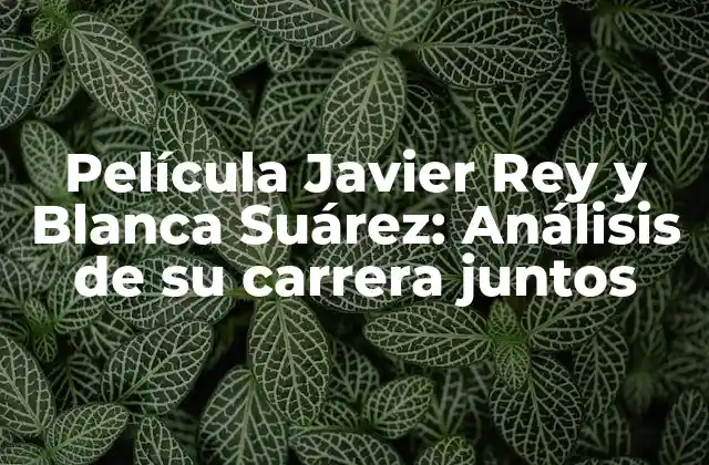 Película Javier Rey y Blanca Suárez: Análisis de Su Carrera Juntos