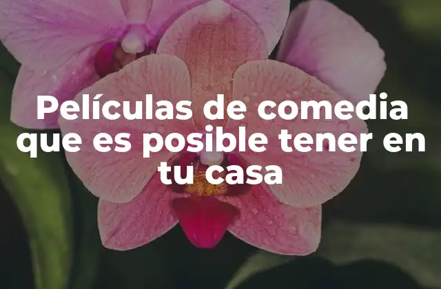 Películas de Comedia que es Posible Tener en Tu Casa