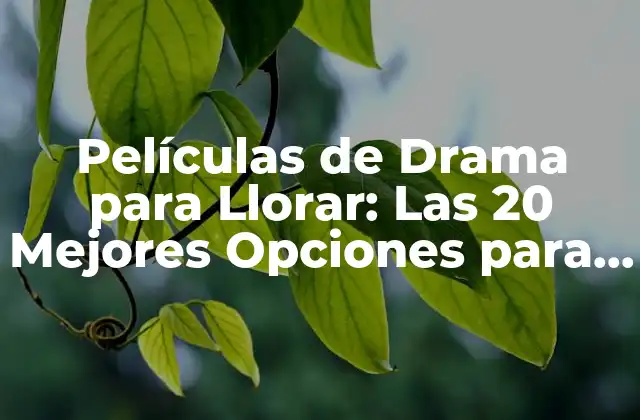 Películas de Drama para Llorar: las 20 Mejores Opciones para Desahogarte