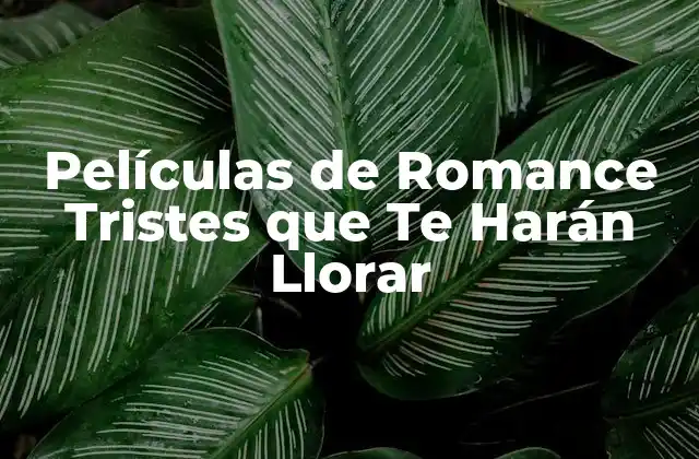 Películas de Romance Tristes que Te Harán Llorar