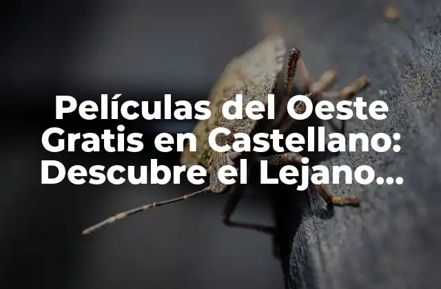 Películas Del Oeste Gratis en Castellano: Descubre el Lejano Oeste