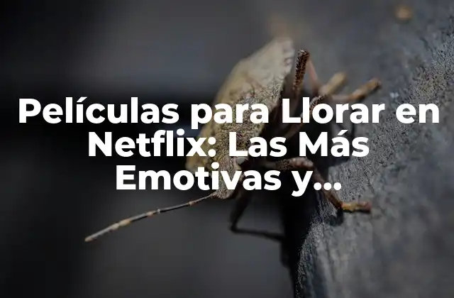 Películas para Llorar en Netflix: las Más Emotivas y Conmovedoras
