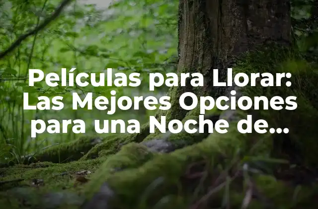 Películas para Llorar: las Mejores Opciones para una Noche de Lágrimas