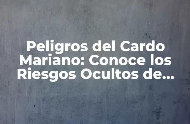 Peligros Del Cardo Mariano: Conoce los Riesgos Ocultos de Esta Planta