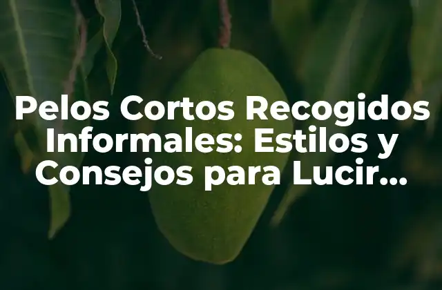 Pelos Cortos Recogidos Informales: Estilos y Consejos para Lucir Genial