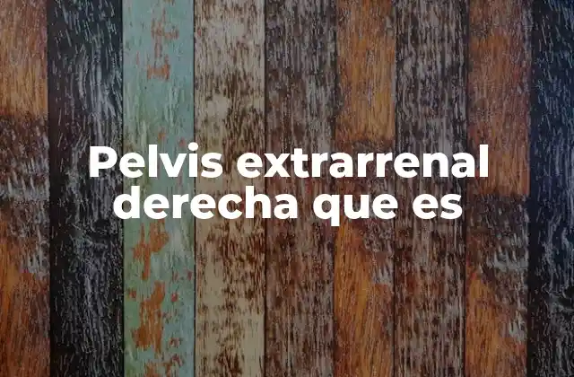 Pelvis Extrarrenal Derecha que es