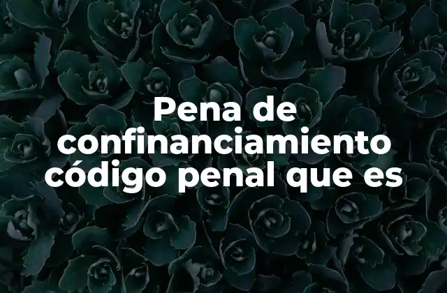 Pena de Confinanciamiento Código Penal que es