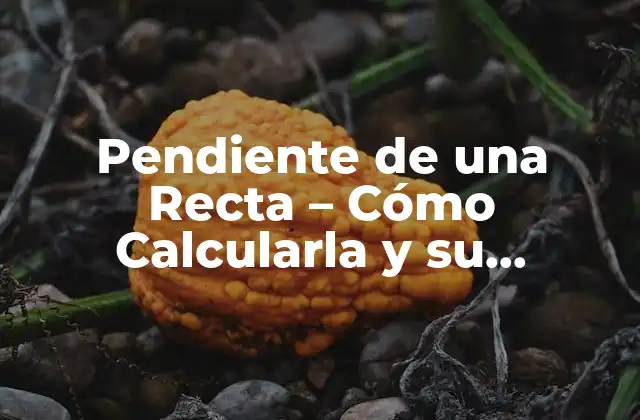 Pendiente de una Recta - Cómo Calcularla y Su Importancia en Matemáticas 2 Fórmula para Calcular la Pendiente de una Recta