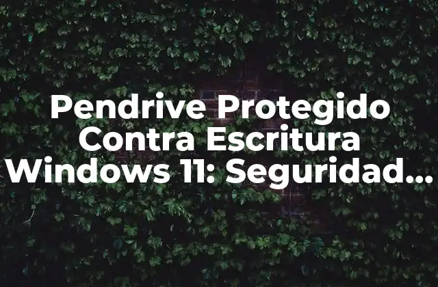 Pendrive Protegido contra Escritura Windows 11: Seguridad Máxima 2 ¿Qué es un Pendrive Protegido Contra Escritura?