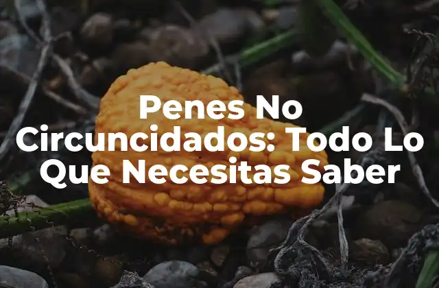 Penes No Circuncidados: Todo Lo que Necesitas Saber
