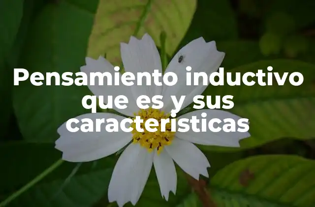 Pensamiento Inductivo que es y Sus Caracteristicas