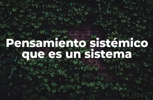 Pensamiento Sistémico que es un Sistema