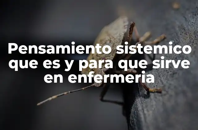 Pensamiento Sistemico que es y para que Sirve en Enfermeria