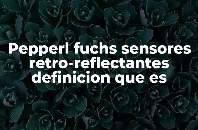 Pepperl Fuchs Sensores Retro-reflectantes Definicion que es