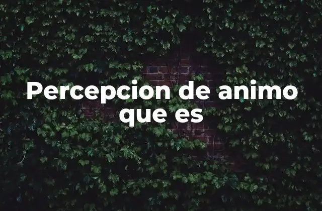 Percepcion de Animo que es