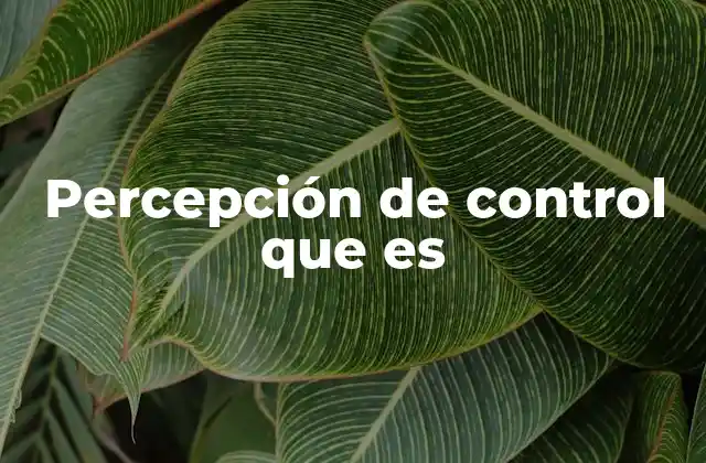 Percepción de Control que es