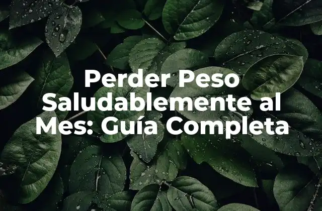 Perder Peso Saludablemente Al Mes: Guía Completa 2 ¿Cuánto Peso se Puede Perder de Forma Saludable al Mes?