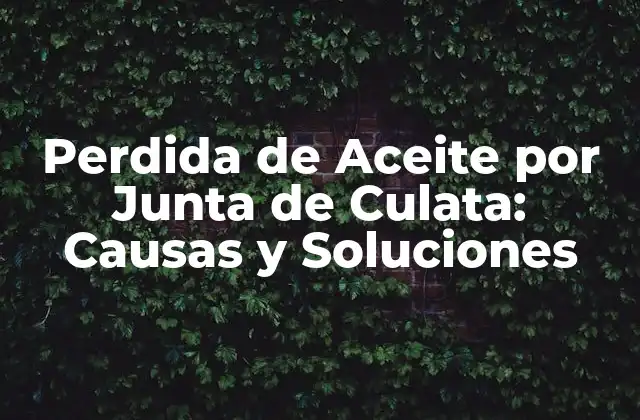 Perdida de Aceite por Junta de Culata: Causas y Soluciones