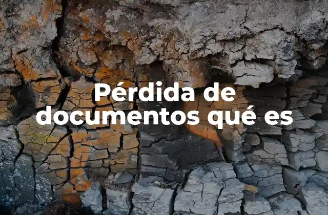 Pérdida de Documentos Qué es