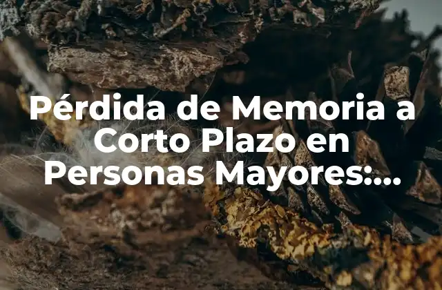 Causas de la Pérdida de Memoria a Corto Plazo en Personas Mayores