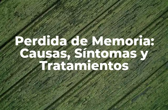 Perdida de Memoria: Causas, Síntomas y Tratamientos