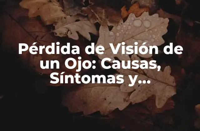 Pérdida de Visión de un Ojo: Causas, Síntomas y Tratamientos 2 Causas de la Pérdida de Visión de un Ojo