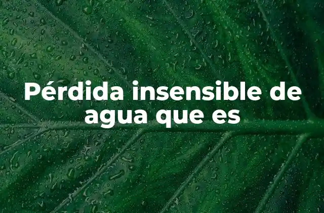 Pérdida Insensible de Agua que es 2 El equilibrio hídrico y la fisiología del cuerpo humano