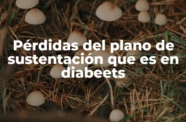 Pérdidas Del Plano de Sustentación que es en Diabeets