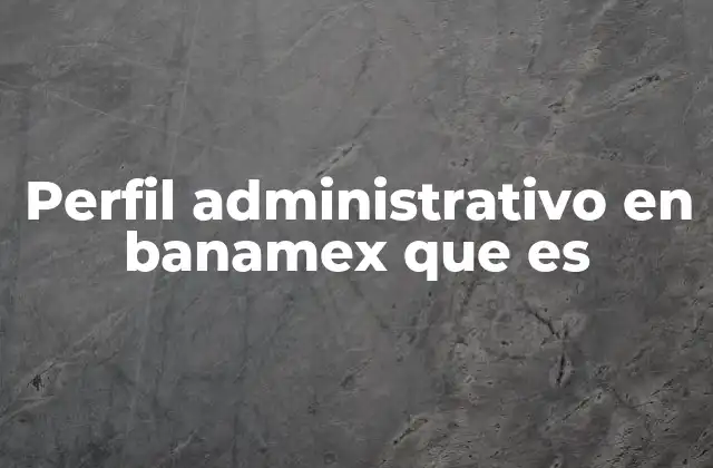 Perfil Administrativo en Banamex que es