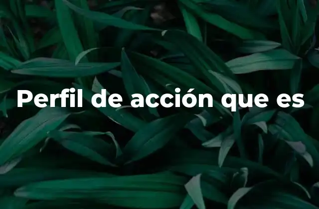 Perfil de Acción que es