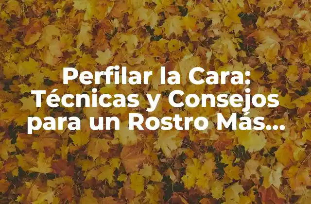 Perfilar la Cara: Técnicas y Consejos para un Rostro Más Definido
