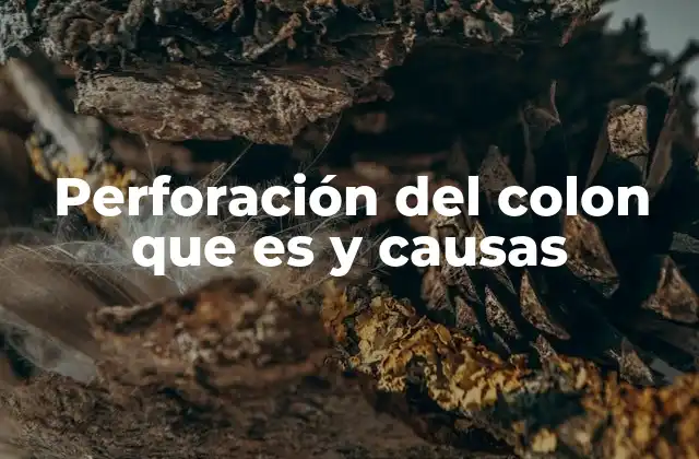 Perforación Del Colon que es y Causas