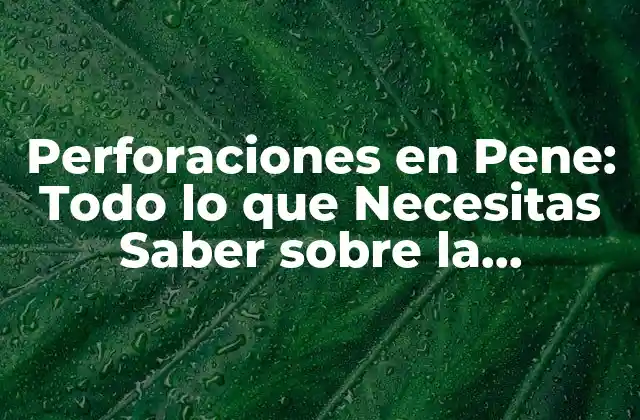 Perforaciones en Pene: Todo Lo que Necesitas Saber sobre la Modificación Corporal
