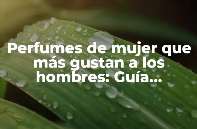 Perfumes de Mujer que Más Gustan a los Hombres: Guía Definitiva