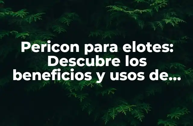 Pericon para Elotes: Descubre los Beneficios y Usos de Esta Hierba Aromática