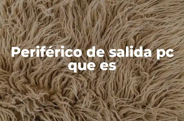 Periférico de Salida Pc que es