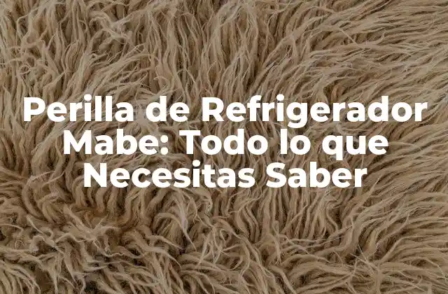 Perilla de Refrigerador Mabe: Todo Lo que Necesitas Saber