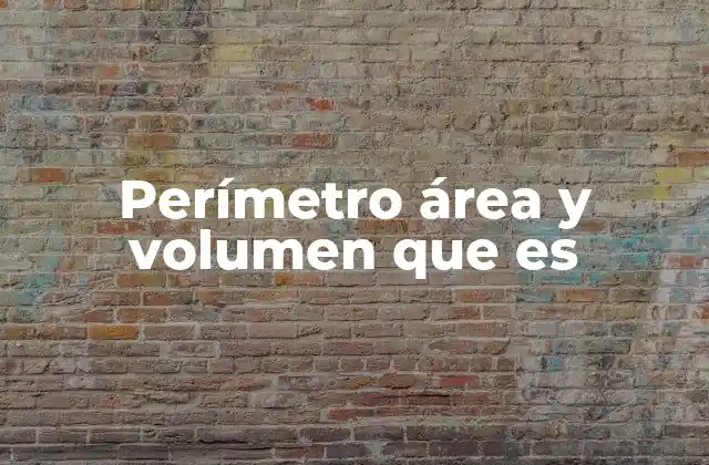 Perímetro Área y Volumen que es