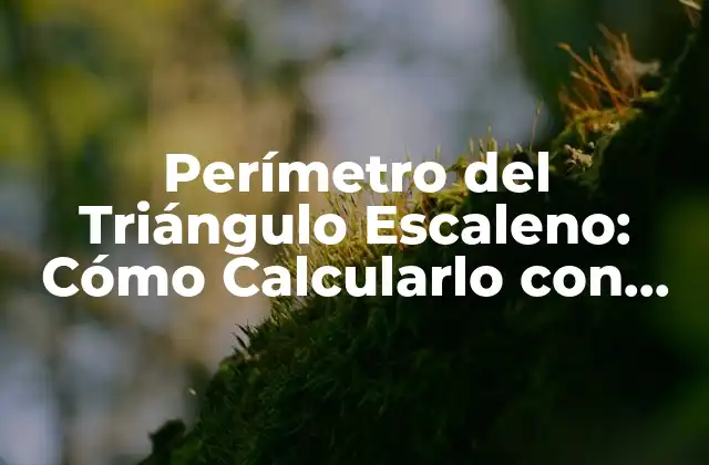 Perímetro Del Triángulo Escaleno: Cómo Calcularlo con Exactitud