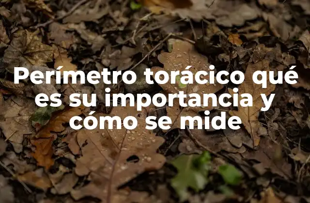 Perímetro Torácico Qué es Su Importancia y Cómo Se Mide