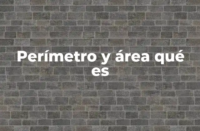Perímetro y Área Qué es